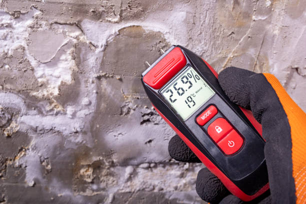 Best Mold Remediation for Specific Building Types in Cleona, PA